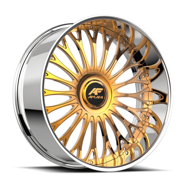 AF-SXLS-NAPOLIANO-GC-S-RTSY1C-250213