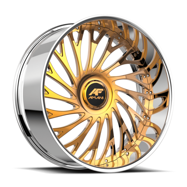 AF-SXLS-VAMOS-GC-S-RTSY1C-250213