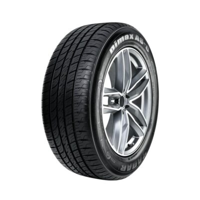 Radar Dimax AS-8 225/40R18 92W XL